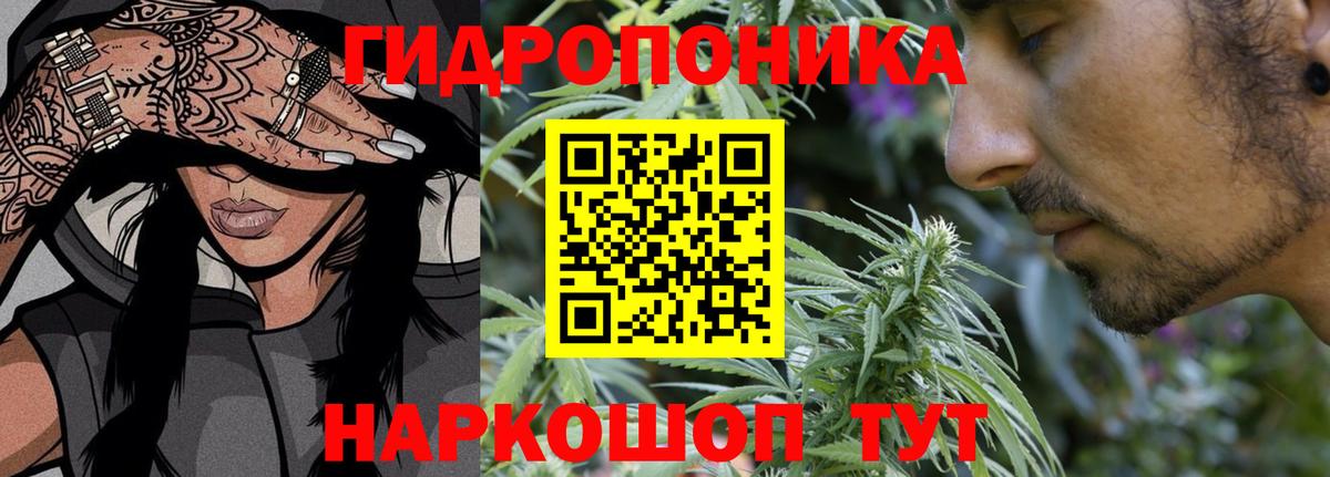 Старый Оскол  МАРИХУАНА Ganja  Вход с VPN  Каннабис планчик  Марихуана конопля 